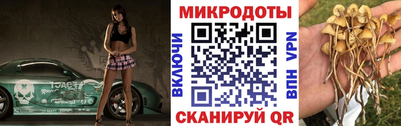 купить закладку  Георгиевск  Галлюциногенные грибы прущие грибы 